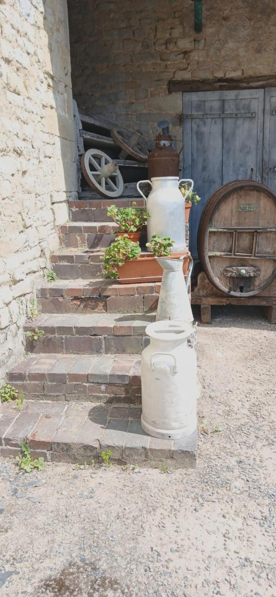 Bed and Breakfast Ferme Aux Leopards Normands Mandeville-en-Bessin Esterno foto